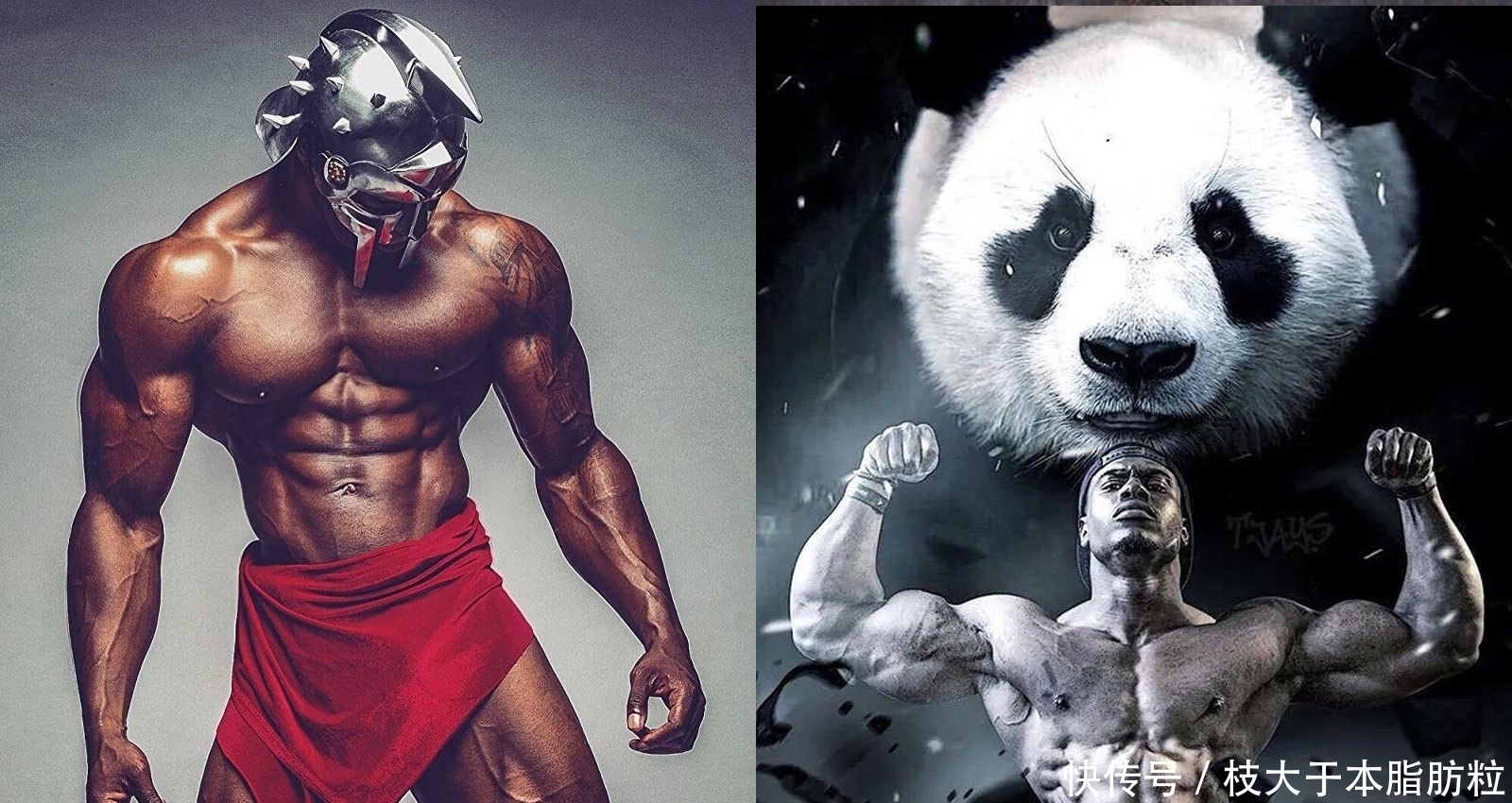 西兰花|世界健美冠军，肌肉“熊猫”，他是自然健美的极限吗？