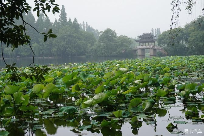 未能抛得杭州去，一半勾留是此湖