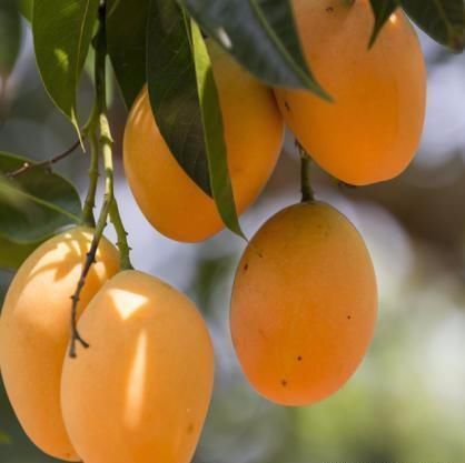女性到了中年，常吃幾種食物，排毒養(yǎng)顏，延緩衰老，好處多多