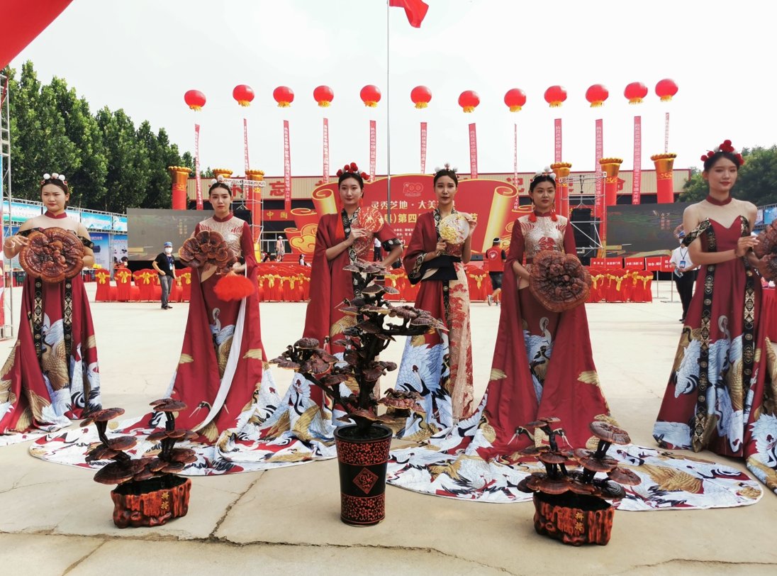 中华医药|中国（冠县）第四届灵芝文化节开幕