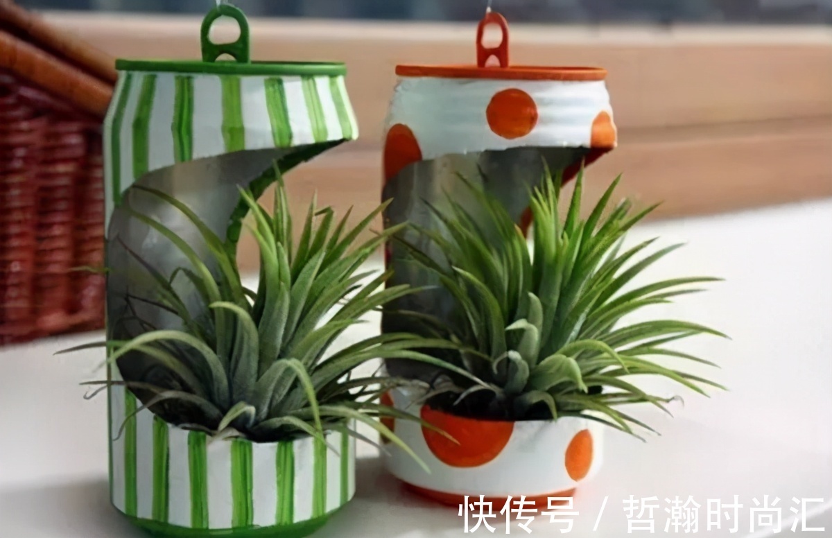 养花缺少花盆的话,多收集些它们“加工”就够了!