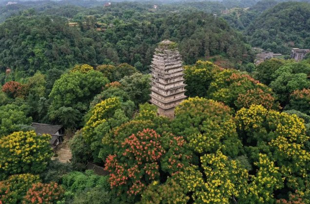 乐山|乐山这个地方，藏着“世界级”魅力！