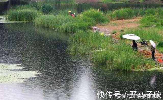 前辈|夏季钓鱼,这些钓鱼俗谚可以参考,钓鱼前辈的经验总结,很有道理