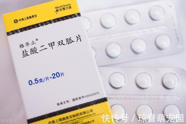 药物|正在服用二甲双胍的糖尿病患者,需要记住5点注意事项