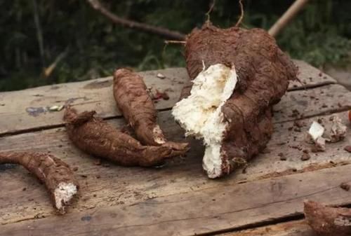 卵巢|女性絕經前，身體有哪些癥狀？45歲后，7物敞開吃，或補充雌激素