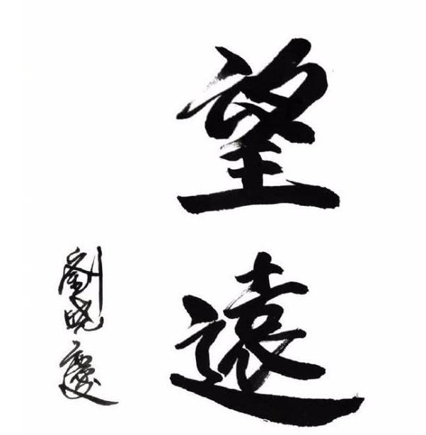 继承#刘晓庆的书法被网友怒赞,重视国粹继承,书法、中医都需要努力