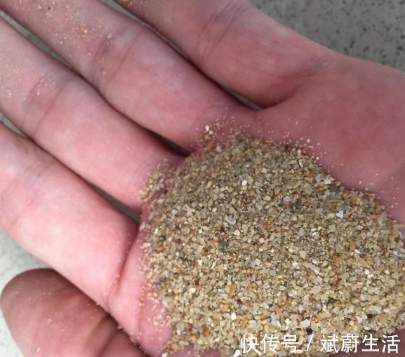花盆|花盆里放这“4种料,”叶子越长越肥,土壤不板结,花开一朵朵