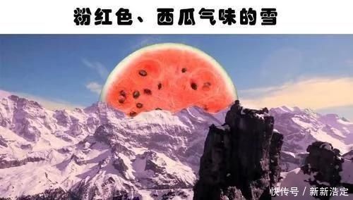 蓝鲸 你肯定没有听过的10个冷知识与现实生活息息相关