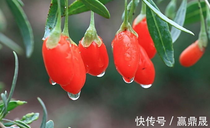 口腔溃疡|良心中医推荐：这15种不怎么挣钱的中成药，知道吗？