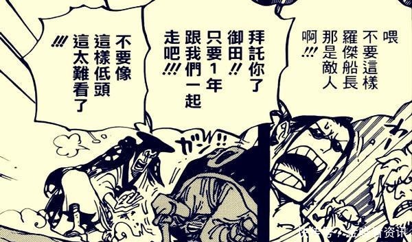 能力|海贼王966话白胡子一怒引发海震,差点淹没岛屿,能力已觉醒