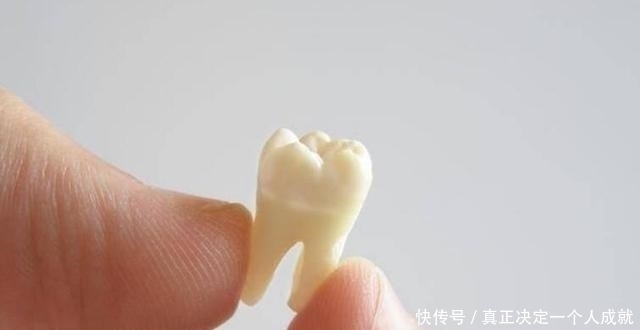 刷牙|儿童换牙顺序图:孩子几岁换?怎么换?一文说清