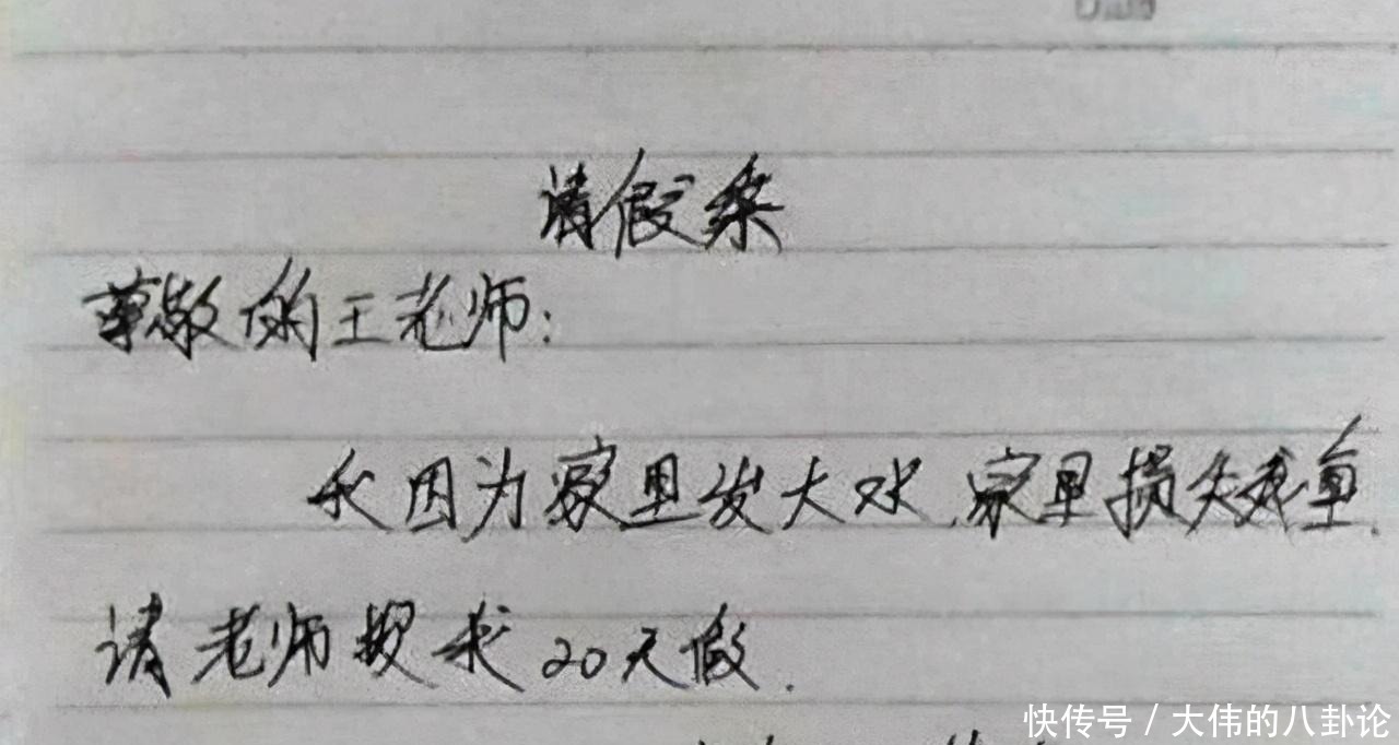 小学生请假去看“母狗生小狗”，老师直接驳回：你这名字就不适合