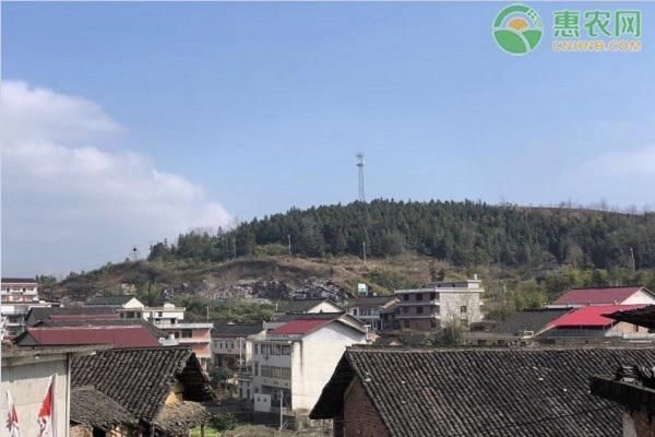 农村宅基地管理办法|农村户口没有宅基地怎么办申请宅基地需要满足什么条件