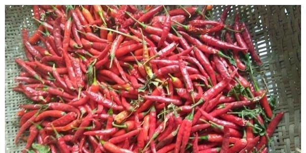 五花肉|胃不好的人，这几种食物尽量少吃，胃或许慢慢变健康