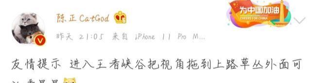 猫神|王者荣耀：原来峡谷变暗的原因在这，这些星星把猫神都引出来了