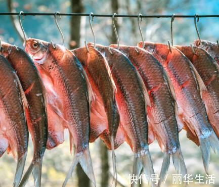 腌腊鱼时,掌握“4要点”,腊鱼鲜香入味,久放不坏,越放越香!