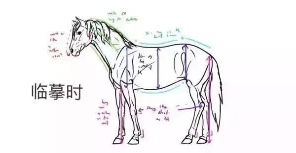 常理性&画不好素描头像?那你需要好好看下这篇文章