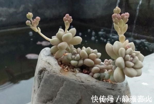 切割机|花盆买不起,自己动手做,好看又实用!花盆买不起,自己动手做,好看又实用!