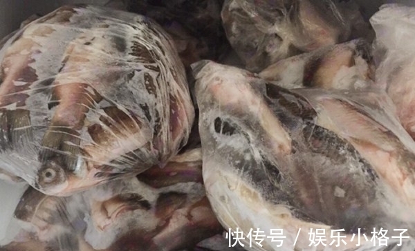 鱼肉|鱼肉保鲜,到底要不要去内脏?教你正确方法,吃着跟活鱼一样新鲜