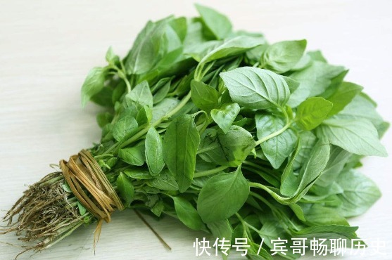 延缓衰老|此种野菜，清除体内垃圾，润肺止咳、延缓衰老，谁食谁年轻