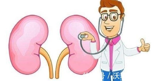 尿路感染|男人睡前,如果能解决一个生理需求,肾脏一定会很感激你