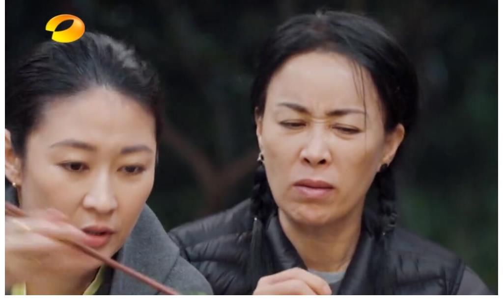 真面目|那英参加向往的生活，揭开了这档节目的真面目，口碑也直线上升。