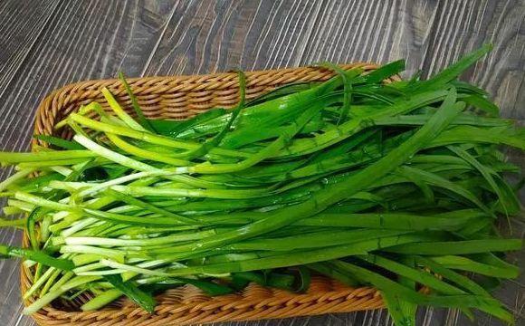 韭菜|包韭菜馅饺子,这“3样”不要放!不然饺子腥味重出水多还不嫩