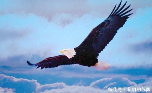 五首经典诗词,写尽年少轻狂,如果你还年轻,一定要读一读