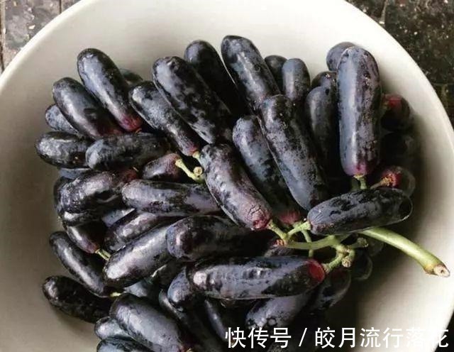 好吃|家里有阳台院子,这种果实别嫌弃,又好看又好吃,你见过吗!