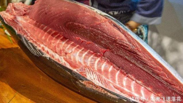 神户牛肉|日本有和牛肉,美国有蓝鳍金枪鱼,中国有啥顶级食材回答太服了