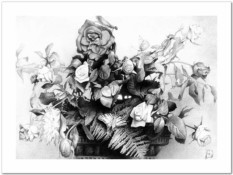 素描#乌克兰画家丹尼斯·切尔诺夫-头像、静物素描