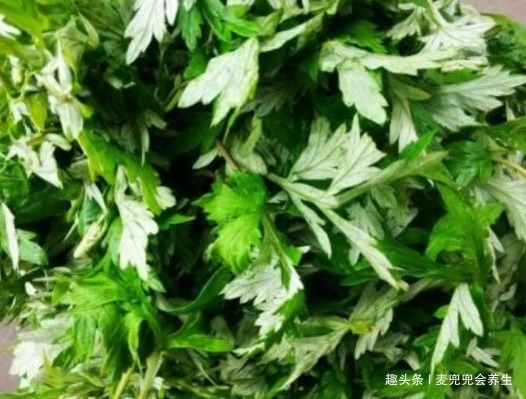 女人|艾叶煮水太厉害了,男人女人都离不开,现在清楚还不晚