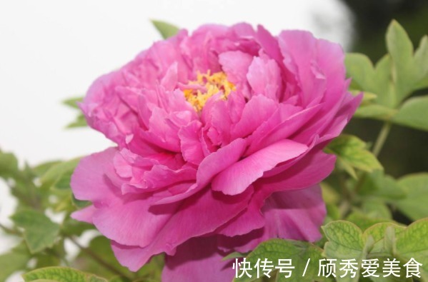 太上感应篇@俗话说:赚得金山一座,不如多积阴德,想发大财,多做4件积德事