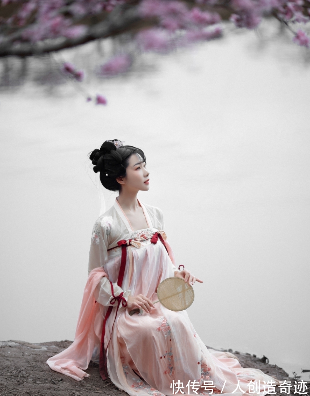 冬梅|诗丨莫叹桑榆天向晚，芦丛深处戏闲鸥