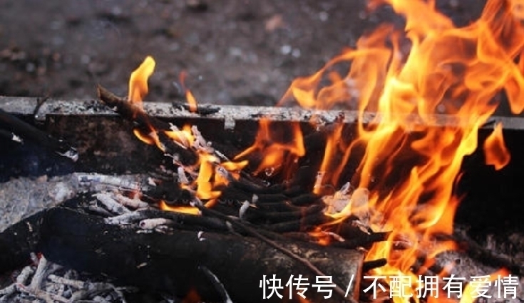 富春山$老人烧一幅画为自己陪葬,侄子舍命抢夺,后成十大传世名画之首