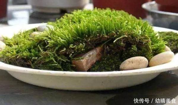 农村厕所旁挖的“青苔”,养在咸菜缸里,浇水就活,最少值一千块