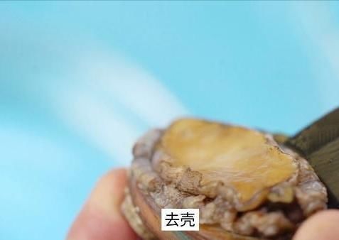  鲍鱼为什么煮不烂？该怎么办？