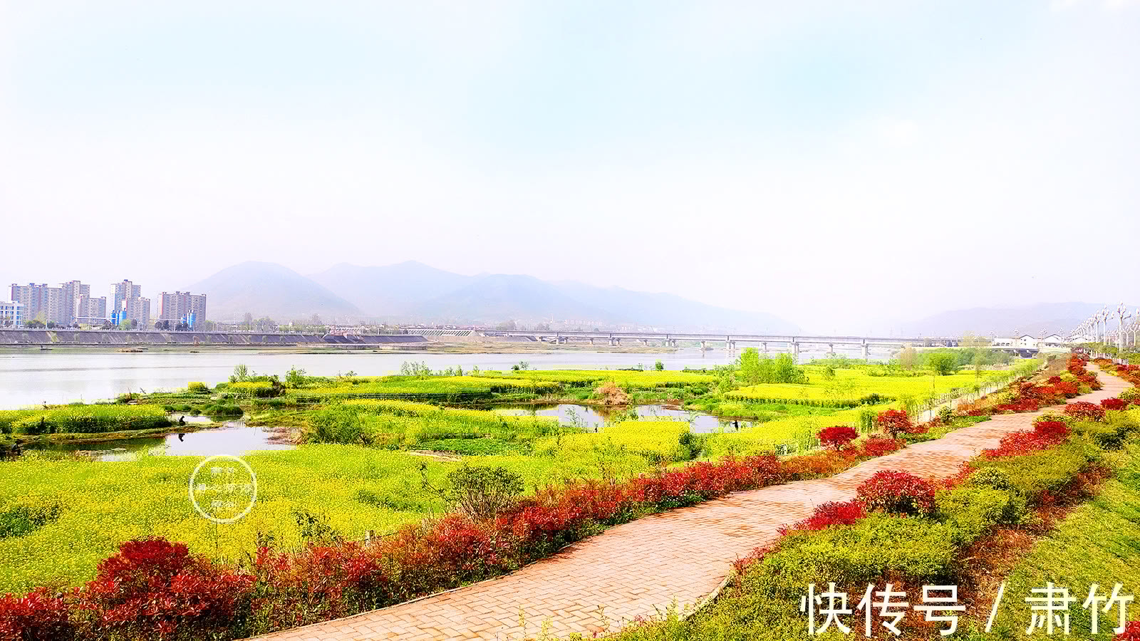 肃竹#梦想如同鲜花,掩盖在伤痕之上