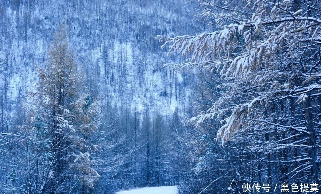 比东北“亚雪”还美的公路，这条小众边境天路，资深驴友都想去！