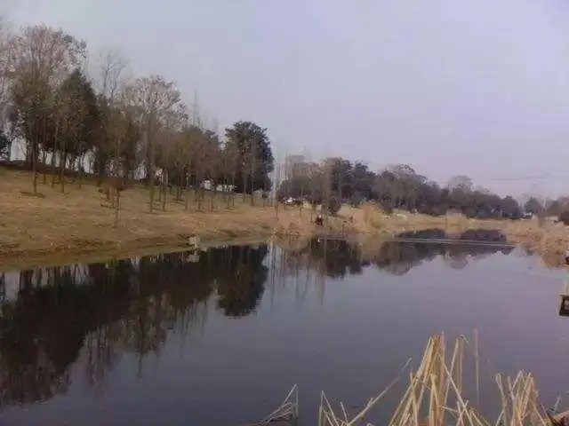 冬钓鲫鱼,牢记“四大可钓”情形,只有老手才明白!