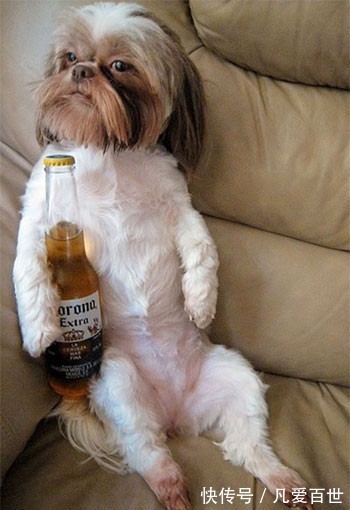 |搞笑动图:这是个什么怪东西,接我一掌!