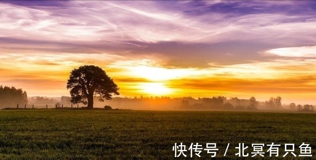 水瓶座|11月底，旧情复燃，3星座再度牵手回忆，重归于好