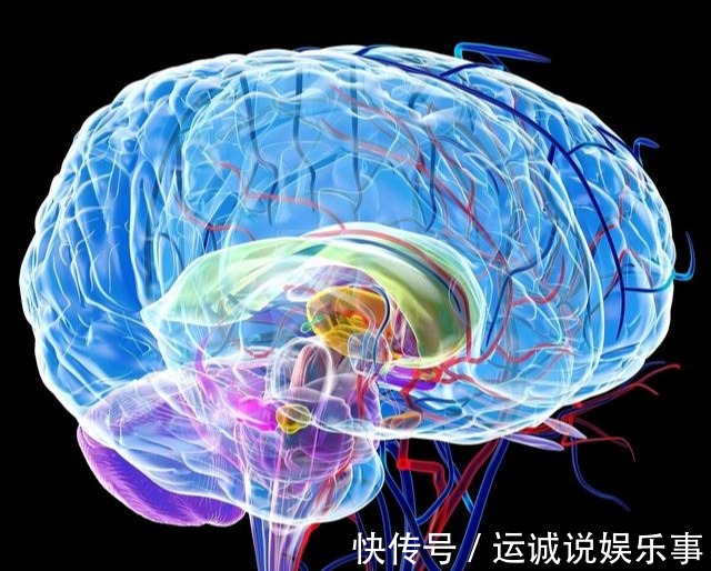 脑细胞|0~3岁是宝宝大脑发育黄金期,经常吃8种益智食物,娃越吃越聪明