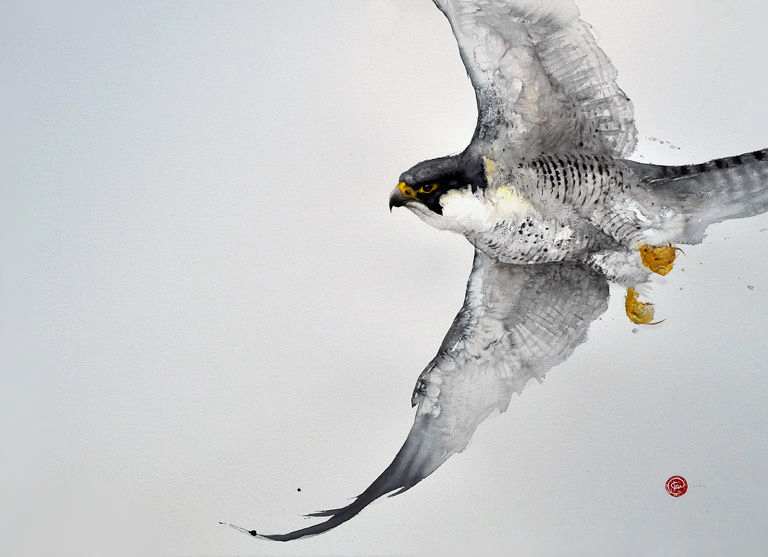 水彩艺@水彩艺术家卡尔·马尔滕斯画的鸟,惟妙惟肖!