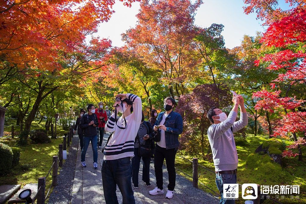 京都|京都醍醐寺内秋景美不胜收