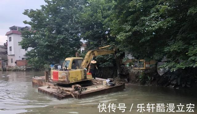 难吃|佛山河道麦鲮鱼大爆发，钓鱼人钓再多也不想吃，肉质不行