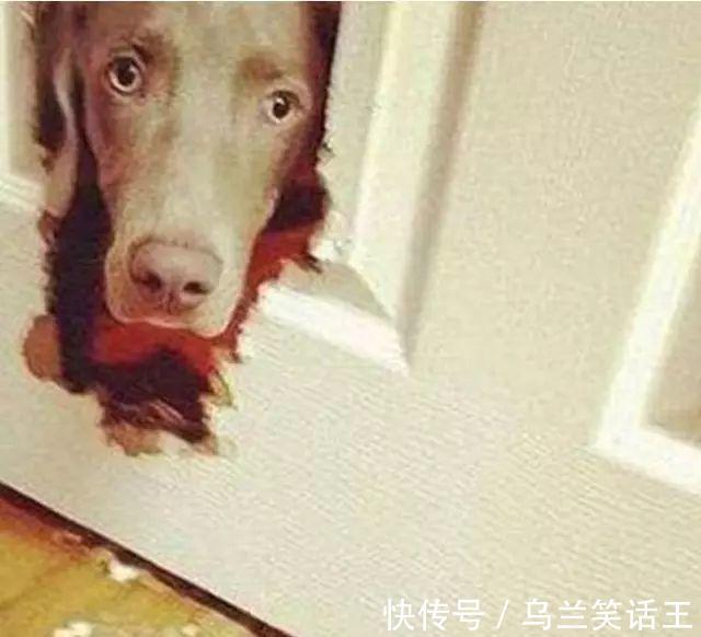 |笑话:在医科大学读书,生病了去哪里看医生?