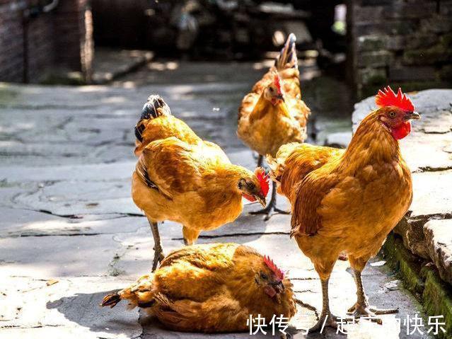 幽默$千年前搞笑幽默的3首古诗词,文采飞扬,令人忍俊不禁