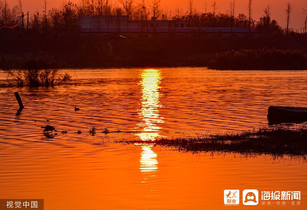 湿地|图看日照｜湿地夕阳红