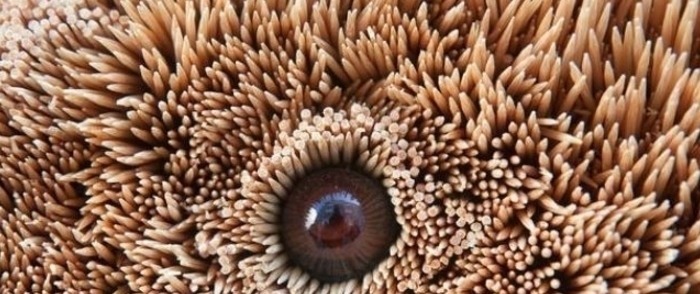 牙签#小伙两千元买五十万根牙签,家人表示疑惑,三个月后成品惊艳众人